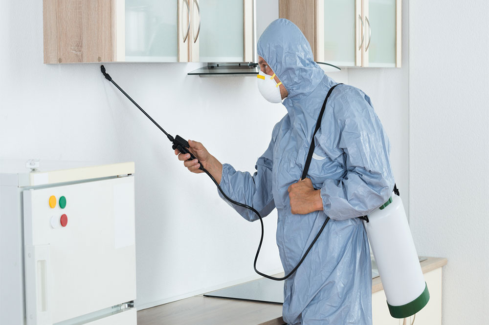 Reasons to get pest control services