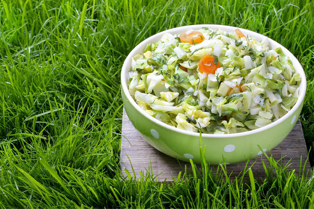 Low-carb meal plan &#8211; Tips and recipe ideas