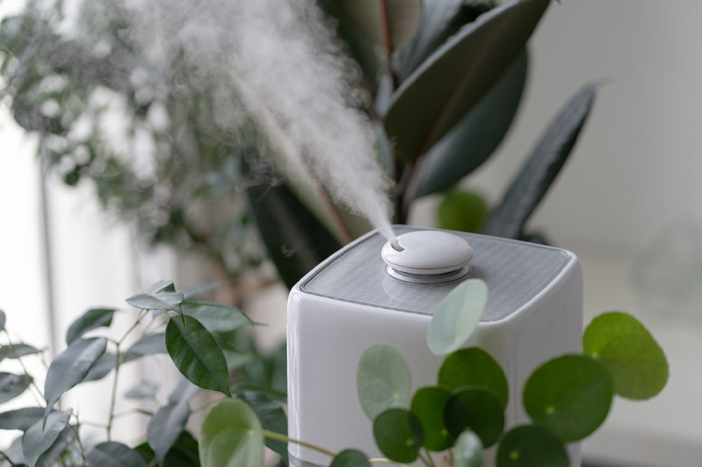 Top 5 air purifiers for dust