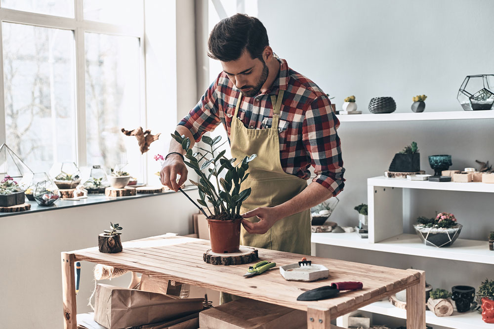 Creative and intellectual hobby ideas for adults and children