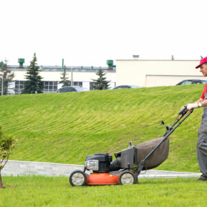 Tips for choosing a senior lawn service company