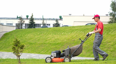 Tips for choosing a senior lawn service company