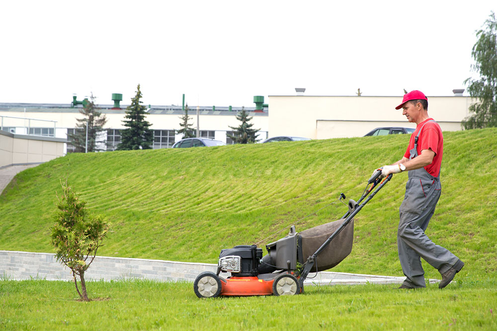 Tips for choosing a senior lawn service company