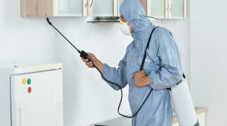 Reasons to get pest control services