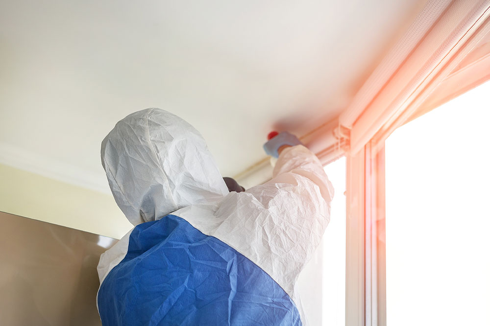 Things to do to prevent mold infestation in your house