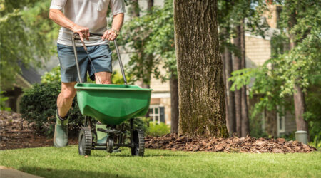 Tips for choosing the right lawn services for seniors