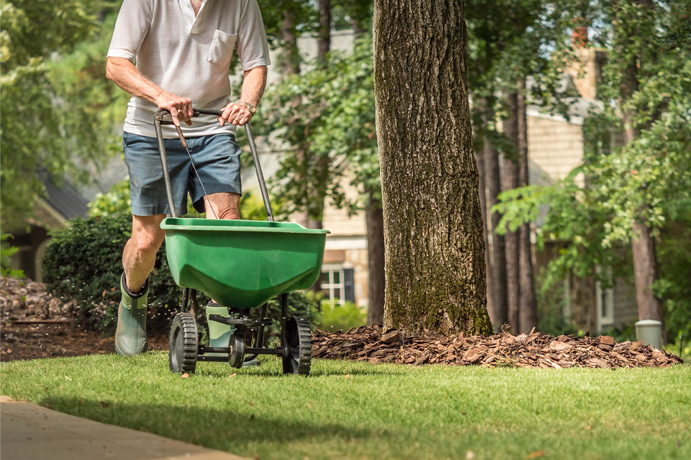 Tips for choosing the right lawn services for seniors