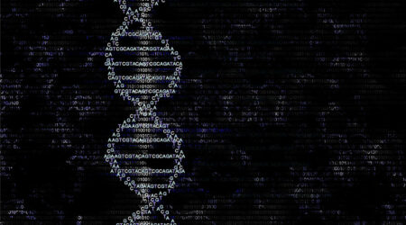 Types of ancestry records and best places to find them