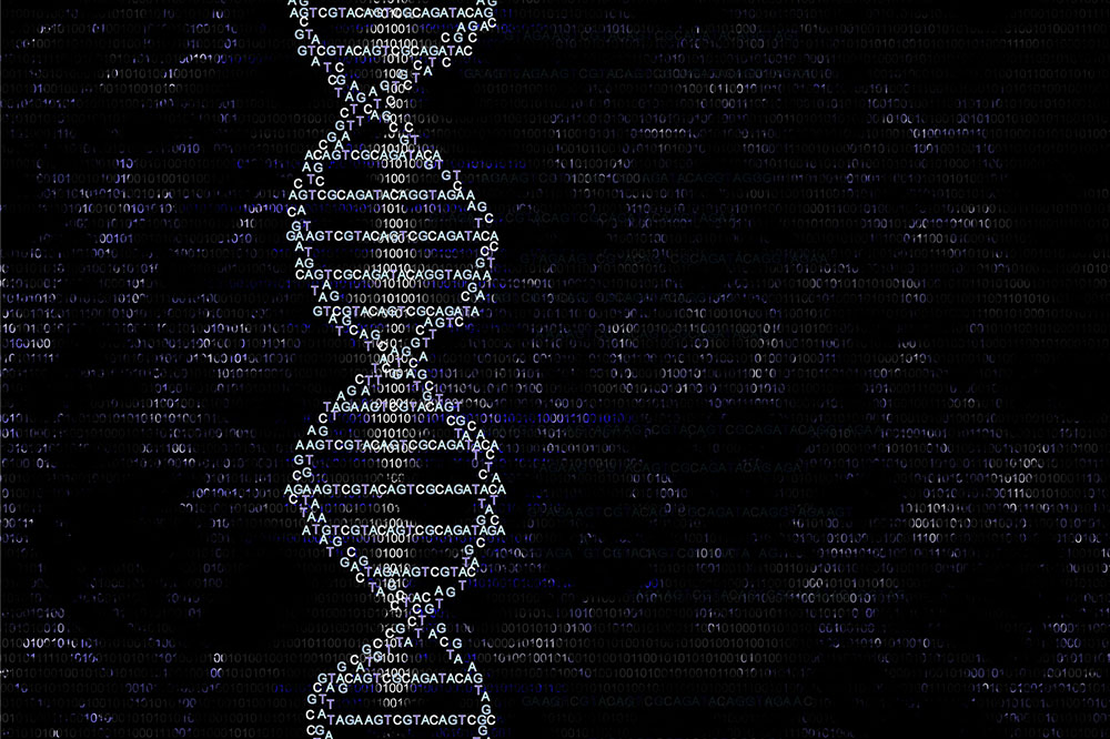 Types of ancestry records and best places to find them
