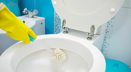 Top 4 toilet stain removers