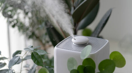 Top 5 air purifiers for dust