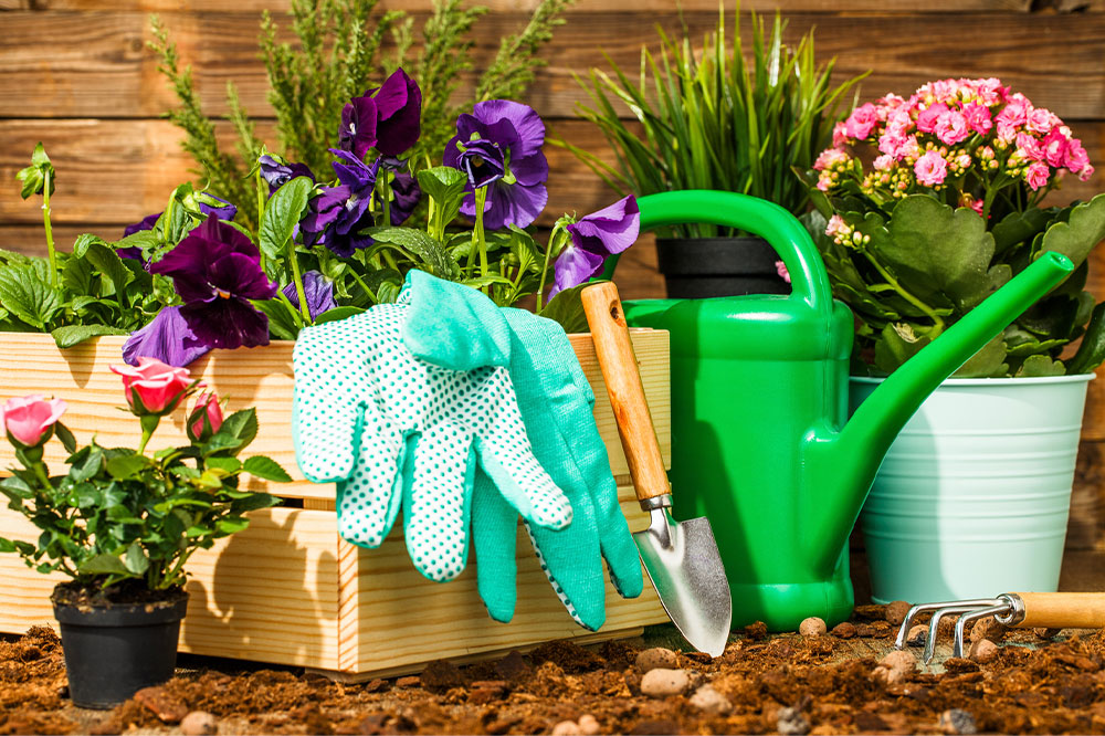 8 useful gardening tips for beginners