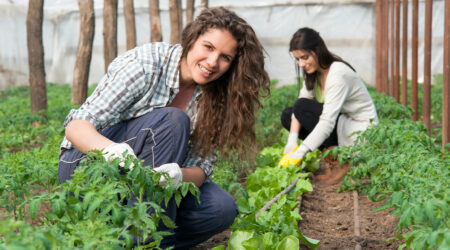 Understanding the different aspects of agriculture