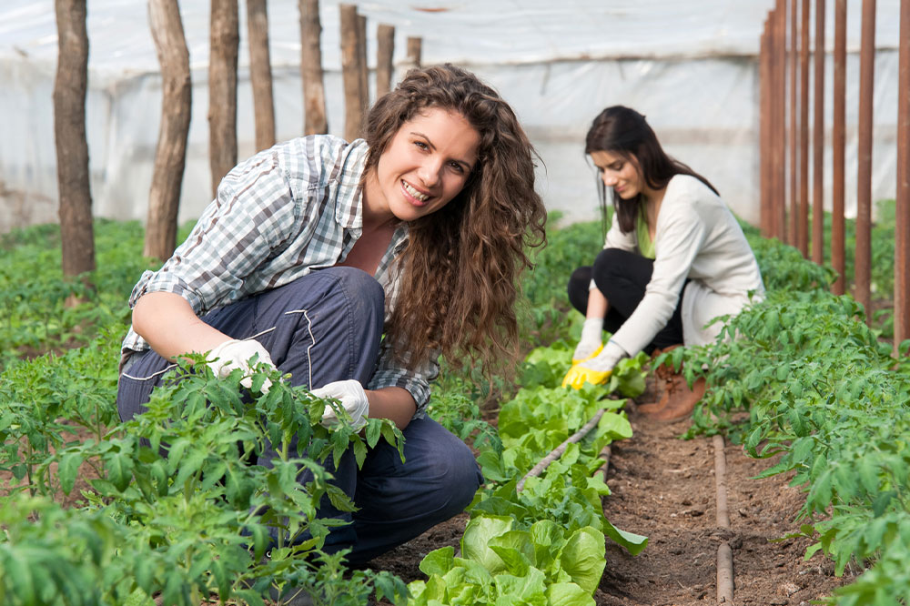 Understanding the different aspects of agriculture