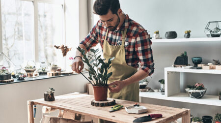 Creative and intellectual hobby ideas for adults and children