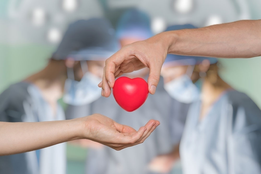 Heart transplant &#8211; Procedure, cost, and recovery methods