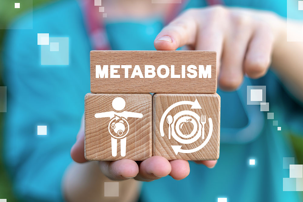 Metabolism &#8211; Types, symptoms, and exercises