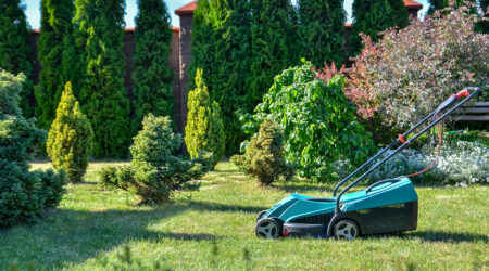 9 key factors to consider when choosing a landscaping service