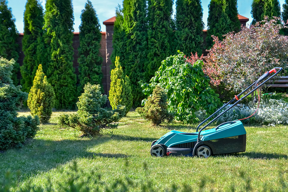 9 key factors to consider when choosing a landscaping service