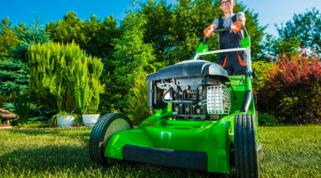 Top tips for finding the best lawn mowing service