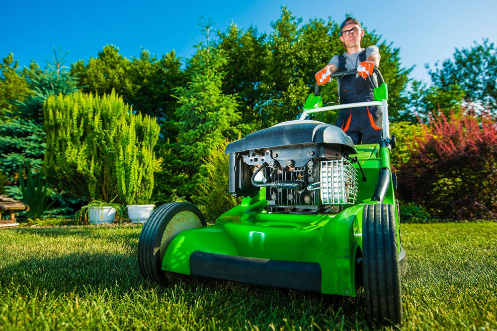 Top tips for finding the best lawn mowing service